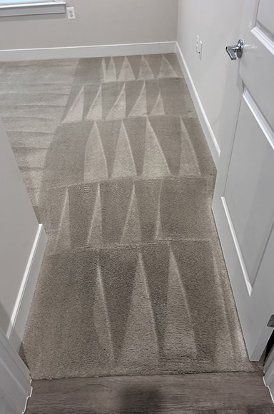 Difference Professional Carpet Cleaning Makes