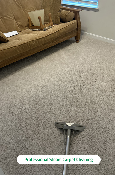 Difference Professional Carpet Cleaning Makes