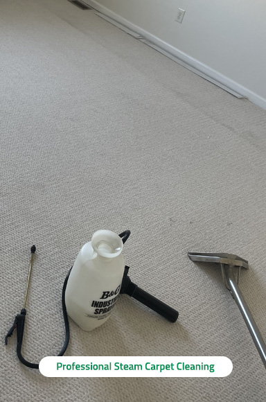 Carpet Cleaning Miami Springs Blog Blog Articles