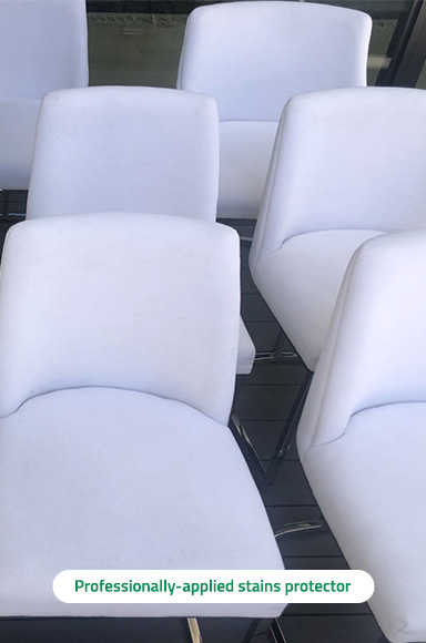 Pet Odor Removal at Carpet Cleaning Miami Springs