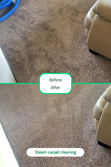 Carpet Cleaning